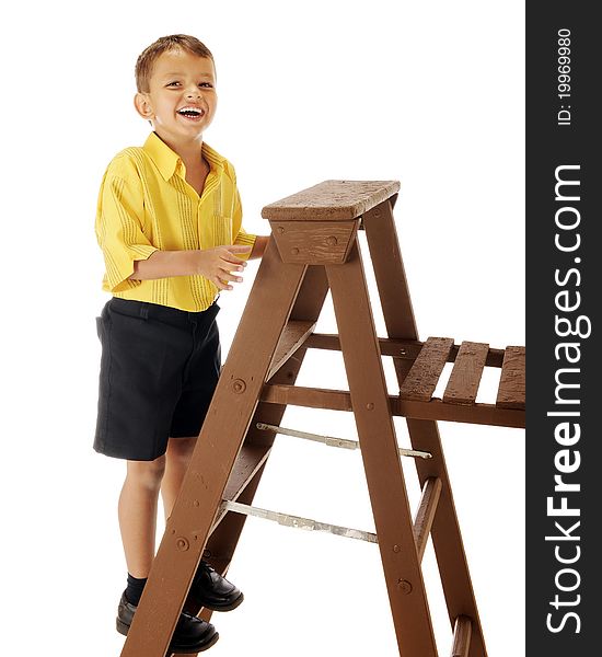 A handsome preschooler delighted being up on a step ladder. Isolated on white. A handsome preschooler delighted being up on a step ladder. Isolated on white.