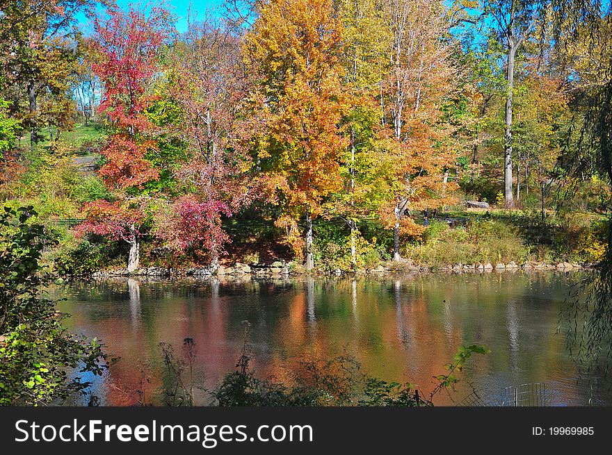 A beautiful lake on fall. A beautiful lake on fall