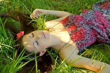 The Young Girl Lies In A Grass Stock Images The Young Girl Lies In A Grass Stock Images