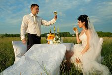 Wedding Dinner On The Field Stock Photography Wedding Dinner On The Field Stock Photography