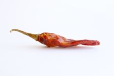 Red Hot Chili Pepper Royalty Free Stock Image Red Hot Chili Pepper Royalty Free Stock Image