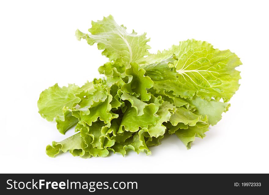 Fresh lettuce leaves across white