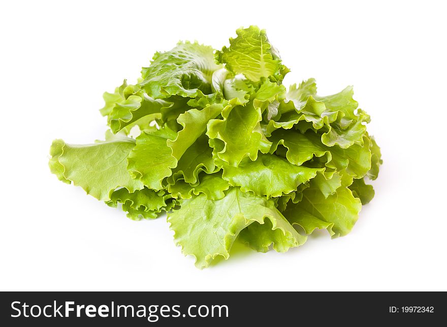 Fresh lettuce leaves across white