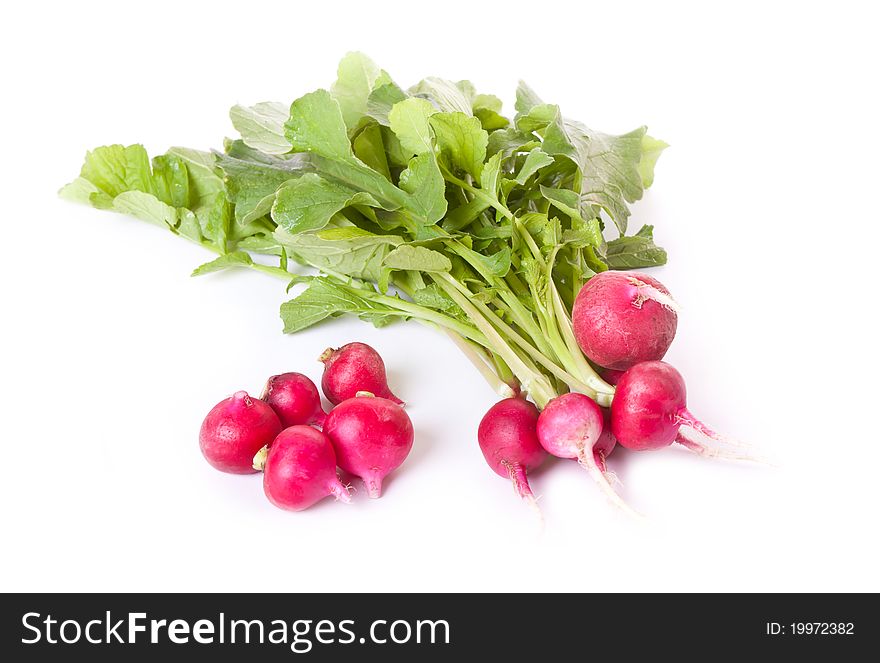 Fresh radish across white