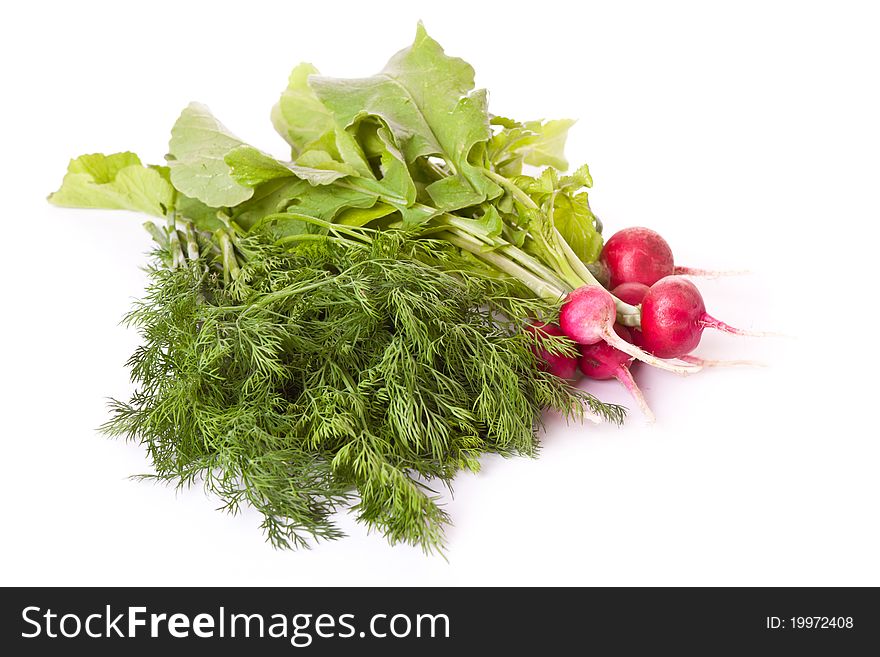 Fresh radish and dill across white