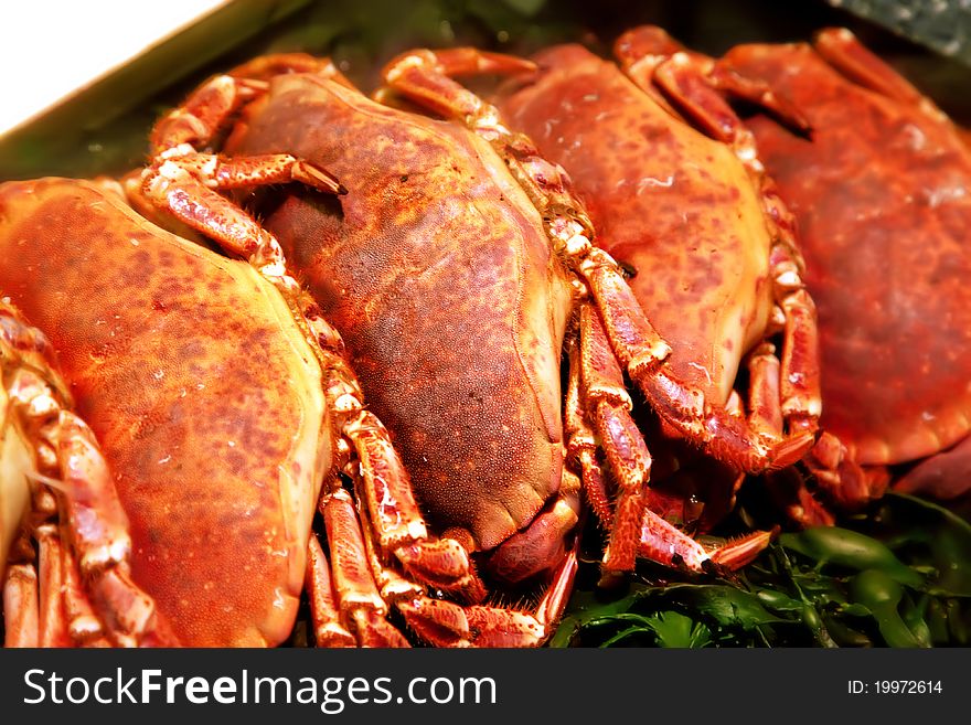 Fresh crabs  in shop on ice and sea  laminare. Fresh crabs  in shop on ice and sea  laminare