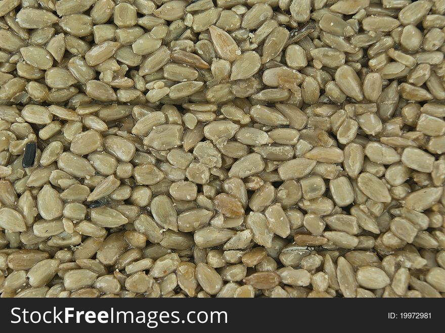 Sunflower sugared seeds as a background. Sunflower sugared seeds as a background