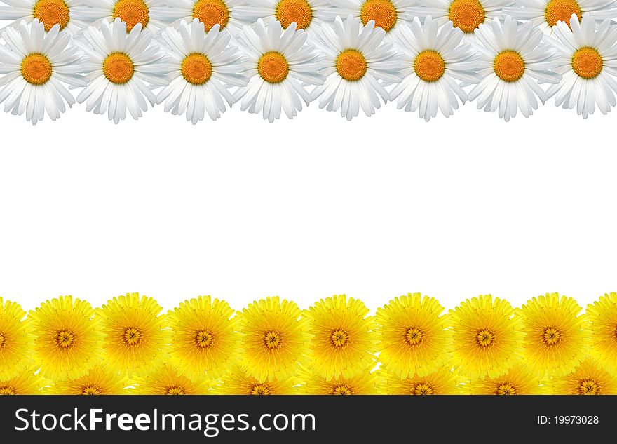 Nice frame made from lot of yellow dandelion and ox-eye daisy flowers. Nice frame made from lot of yellow dandelion and ox-eye daisy flowers