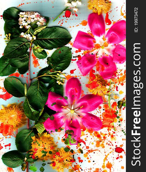 Composition from summer flowers and Abstract. Composition from summer flowers and Abstract