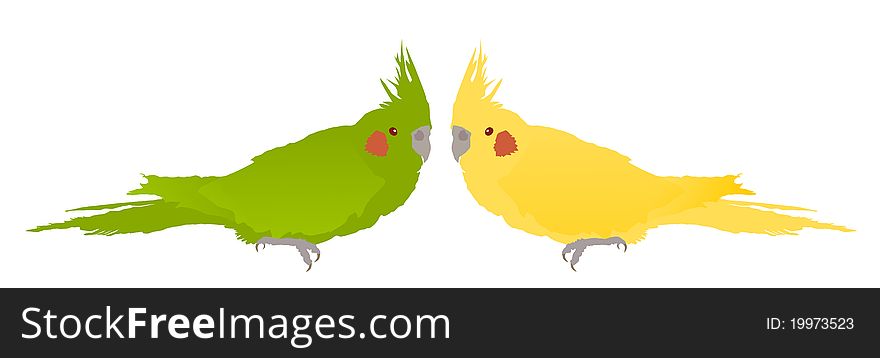 Illustration texture colorful parrots on a white background