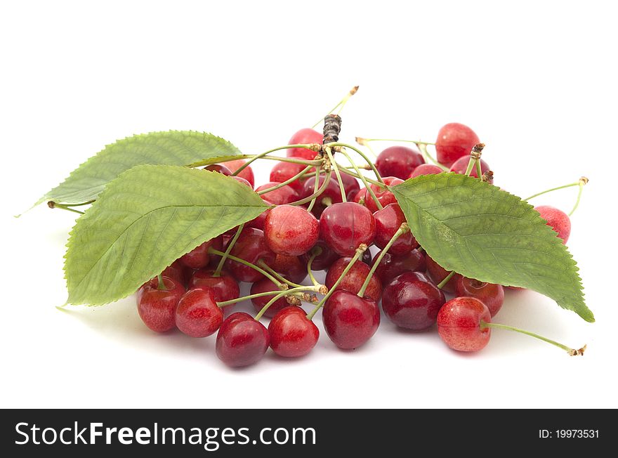 Red cherry on white background