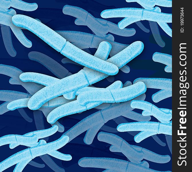 Bacteria Cell Grouping