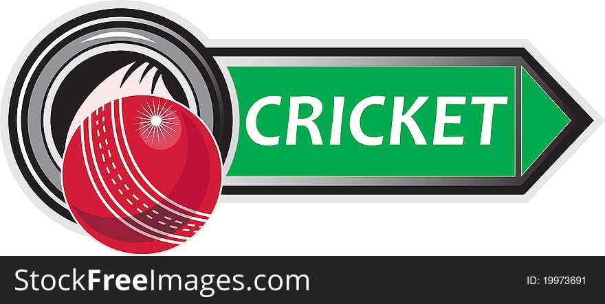 Cricket sports ball