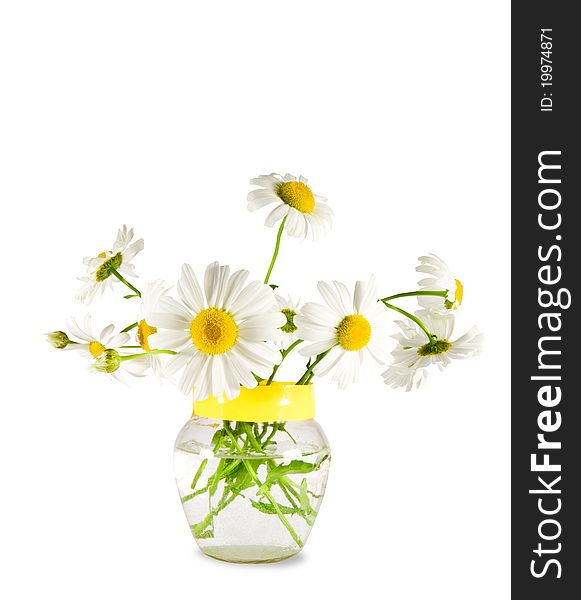 Flowers daisywheel on glassy vase isolated over white