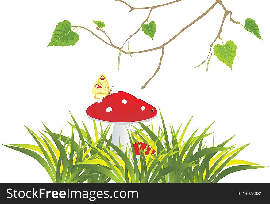 Fly agaric mushrooms in grass and birch sprig