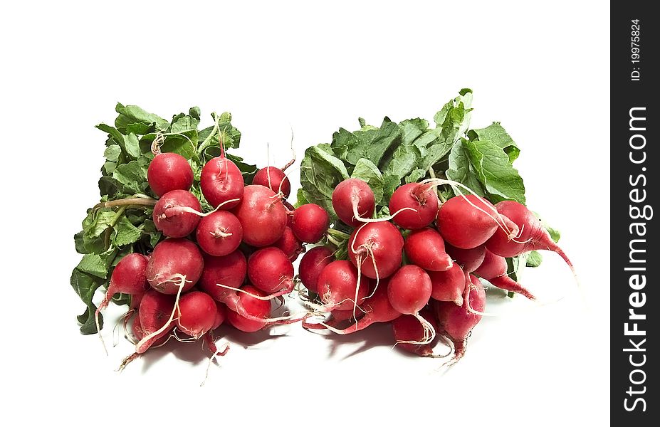 Ripe radish isolated on white