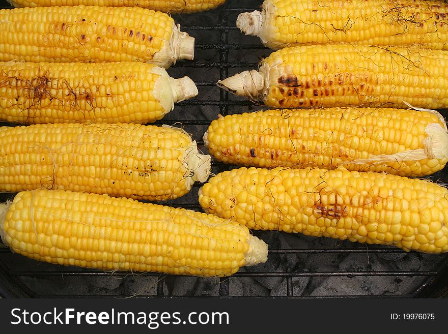 Ears of corn cooking on a grill. Ears of corn cooking on a grill.