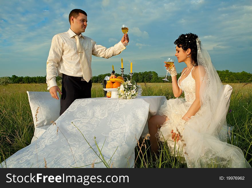 Bride and groom at wedding table on the field. Bride and groom at wedding table on the field