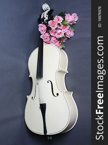 A white cello on the gray background