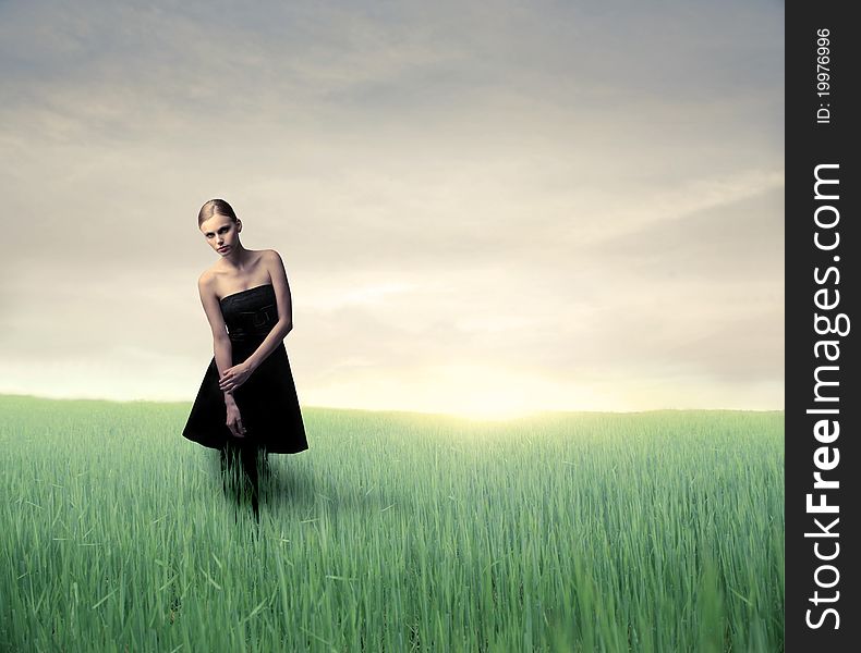 Beautiful elegant woman on a green meadow. Beautiful elegant woman on a green meadow