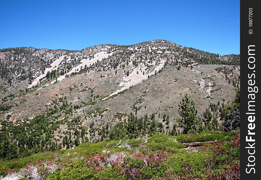 Sugarloaf Mountain, San Bernardino National Forest, CA