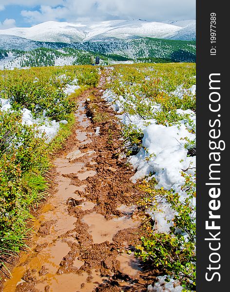 Brown mash trail crossing green mountain field