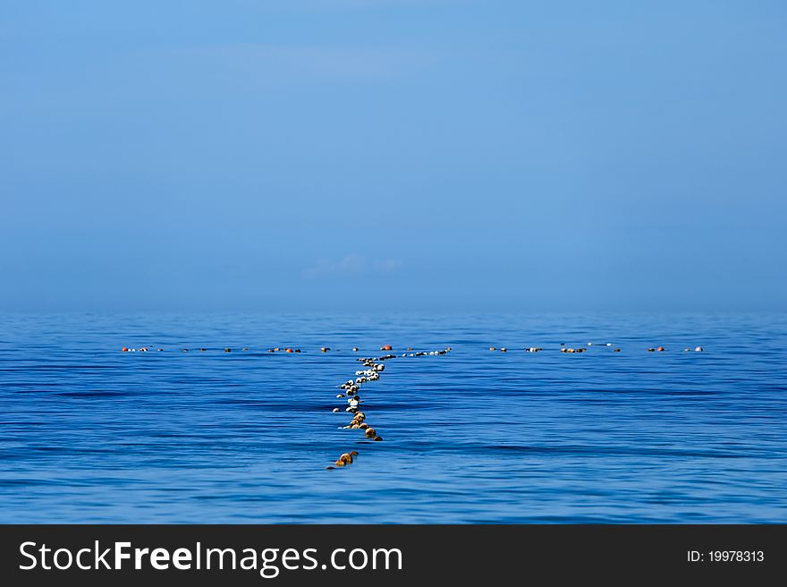 Fishing Net on the surface of the sea