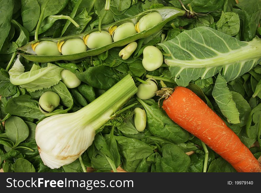 Mixed vegetables on a bed of green spinach leaves