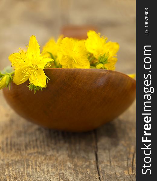 Fresh and colorful flowers on the wooden dish, macro. Fresh and colorful flowers on the wooden dish, macro