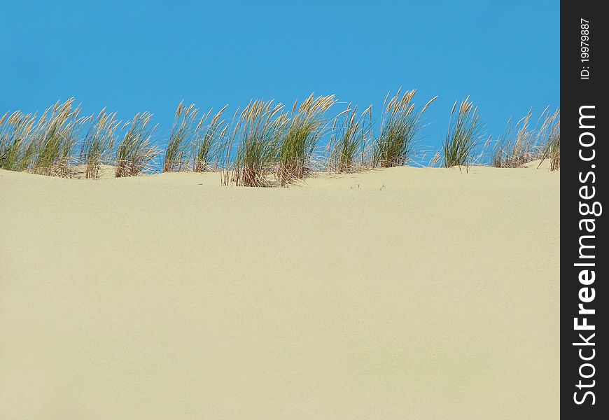 Yellow sand, green grass, blue sky. Yellow sand, green grass, blue sky.