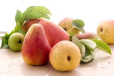 Pear Royalty Free Stock Photo