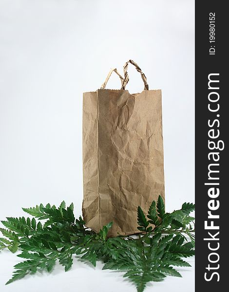 Brown Crumpled Paper Bag