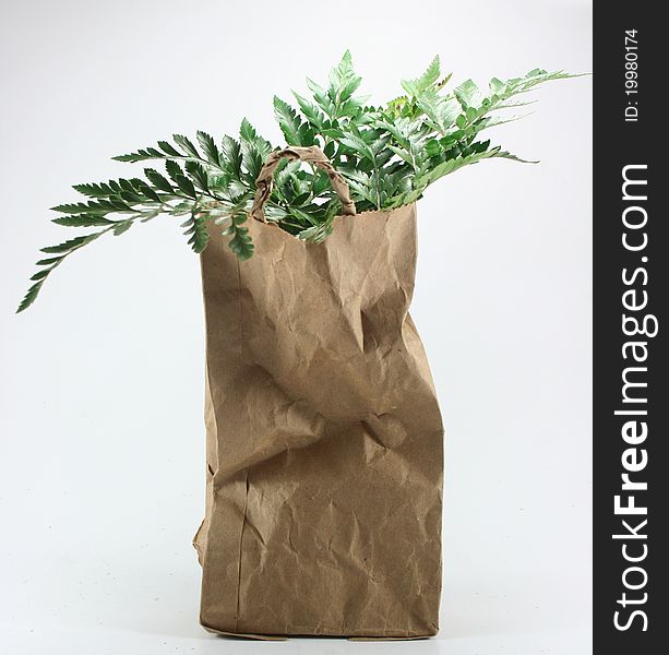 Brown Crumpled Paper Bag