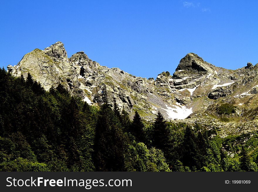 Mountains with thick pine forest