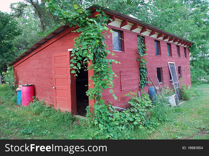 This old tin roof chicken house is still standing. This old tin roof chicken house is still standing