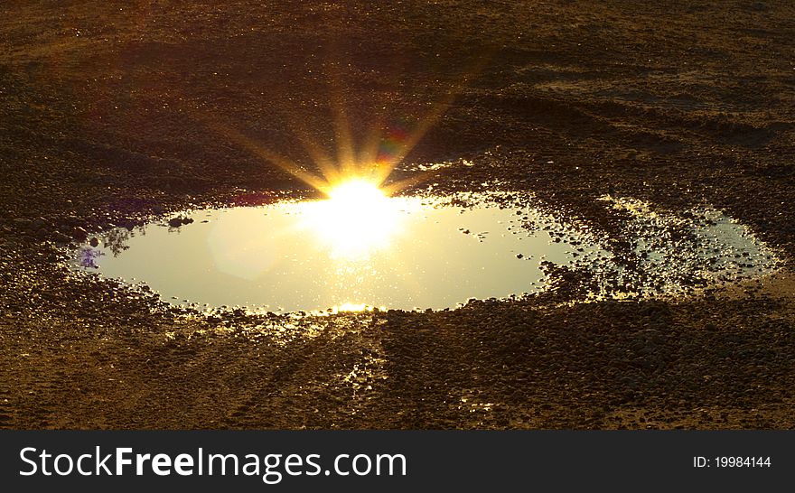 Sunrise Close Up