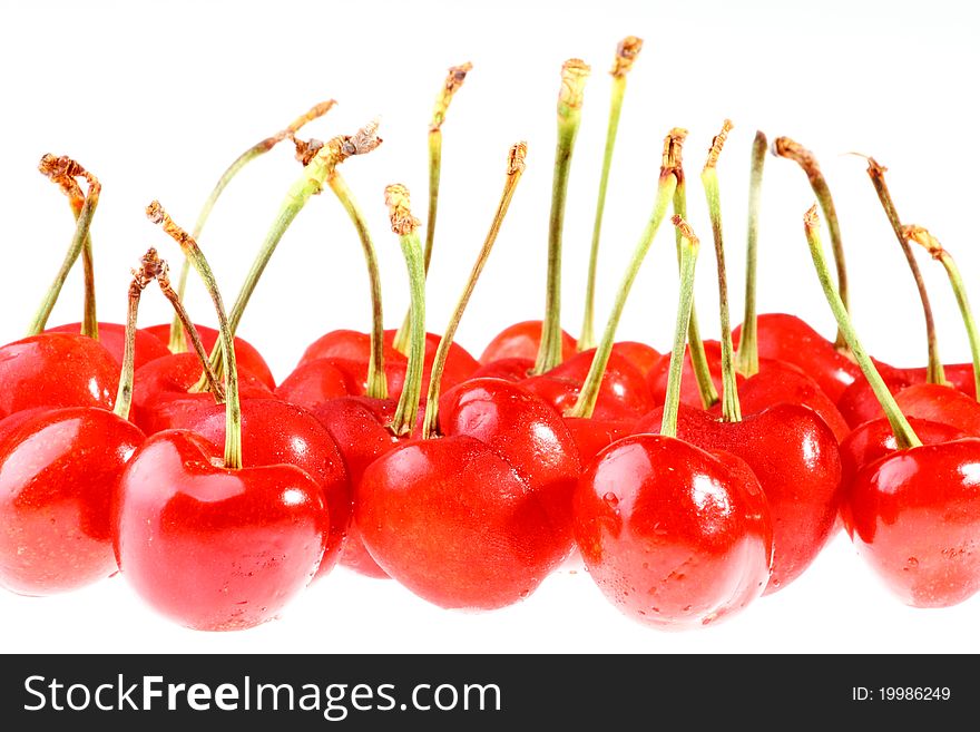 Cherries with Dewdrops on White Background