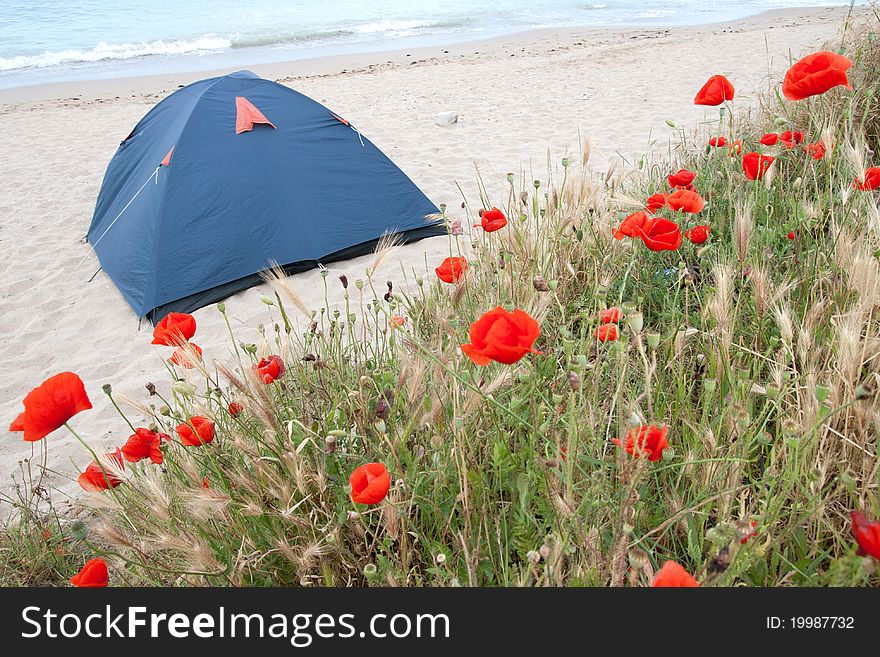 Tent On The Beach