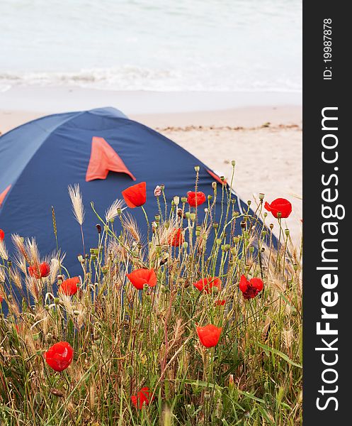 Tent on the beach