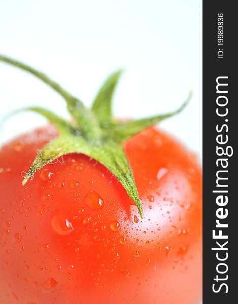 Red tomato with water drops isolated