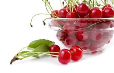 A Cherry With A Branch Royalty Free Stock Images A Cherry With A Branch Royalty Free Stock Images