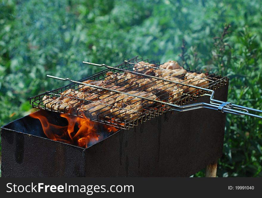 Grilled chicken in barbecue grate on the grass background