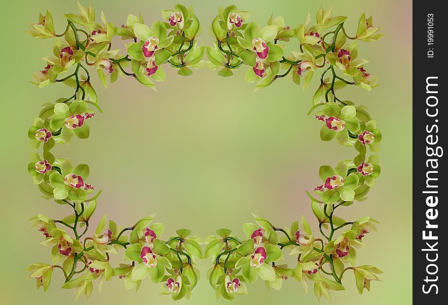 Floral frame - green orchid, background for your text. Floral frame - green orchid, background for your text