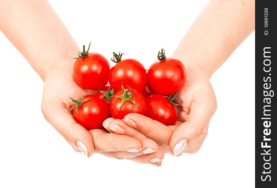 Tomatoes cherry in female hands