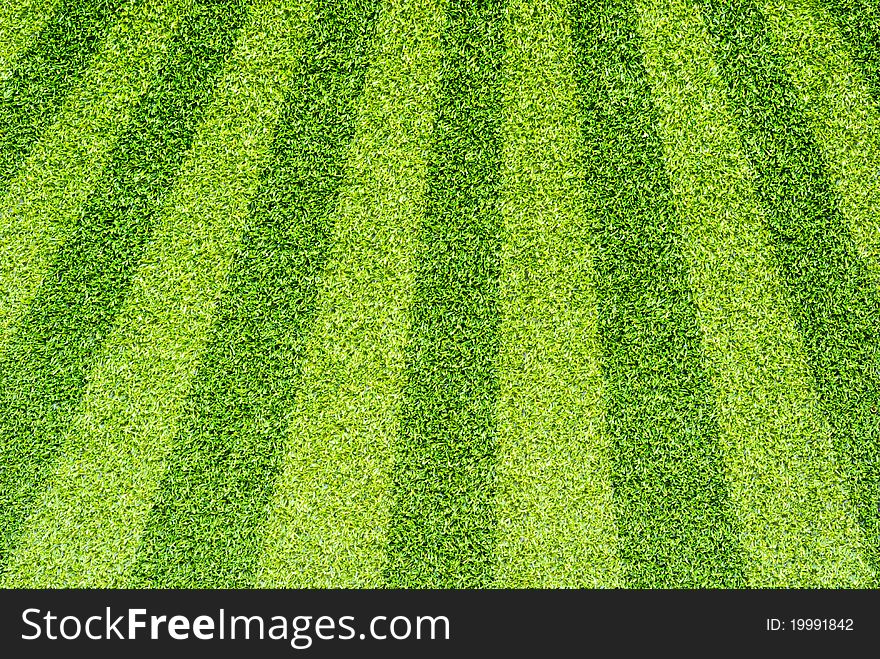 Artificial Grass For Background