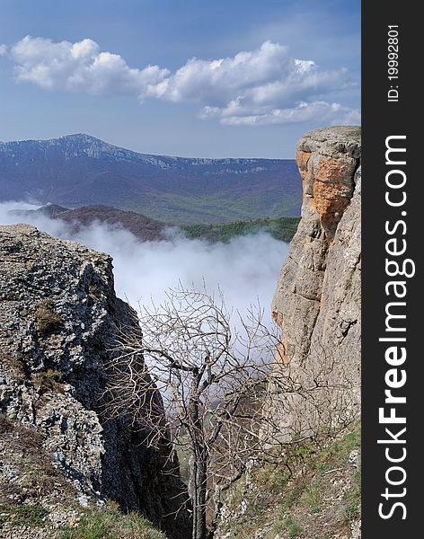 The Crimean Mountains are photographed from peak of Demirji. The solitary bare tree is in the cleft between two sheer cliffs.