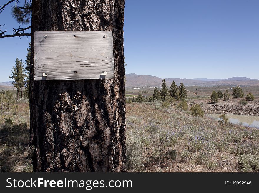 Wood Sign On A Tree