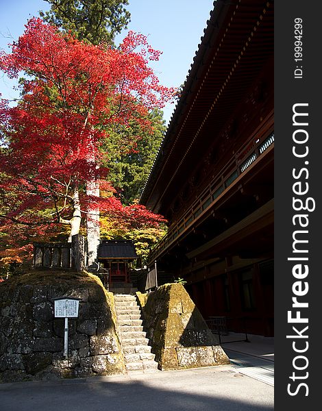 Mausoleums of the Tokugawa Shoguns in nikko at autumn with red leaves