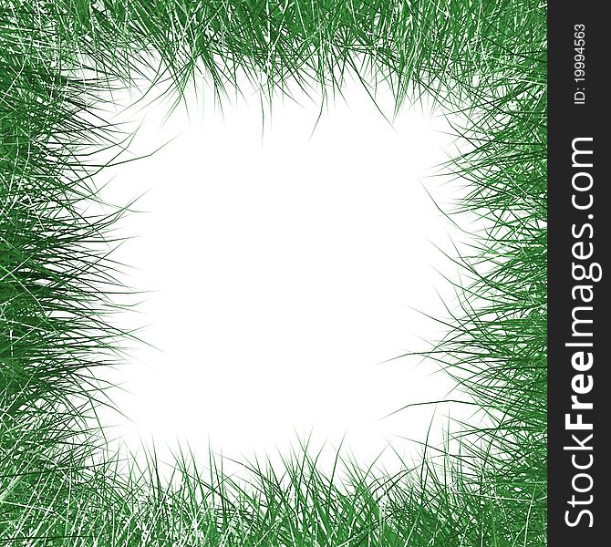 green grass hairs background white ball turf frame nature object plant season space spring springtime summer summertime frame. green grass hairs background white ball turf frame nature object plant season space spring springtime summer summertime frame