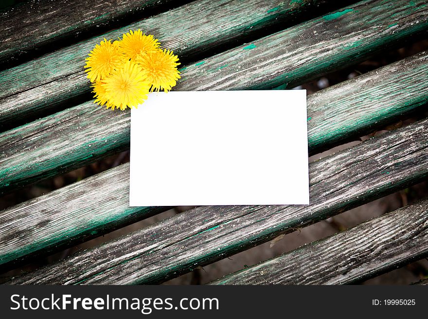 Blank card with dandelion over wood background